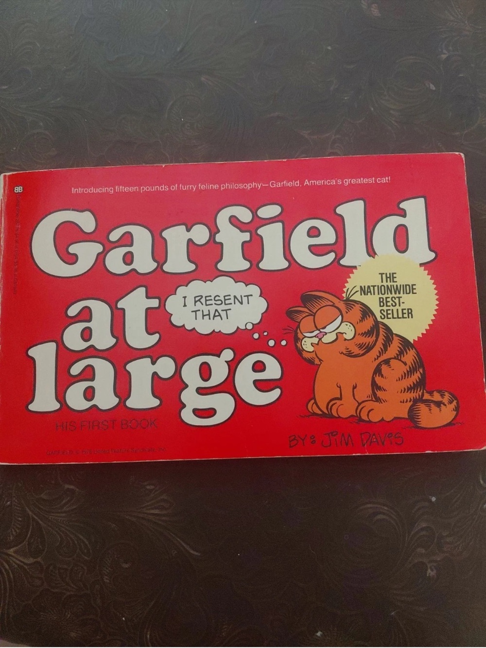 Garfield at Large, His First Book- Paperback By Jim Davis 1980 First Edition